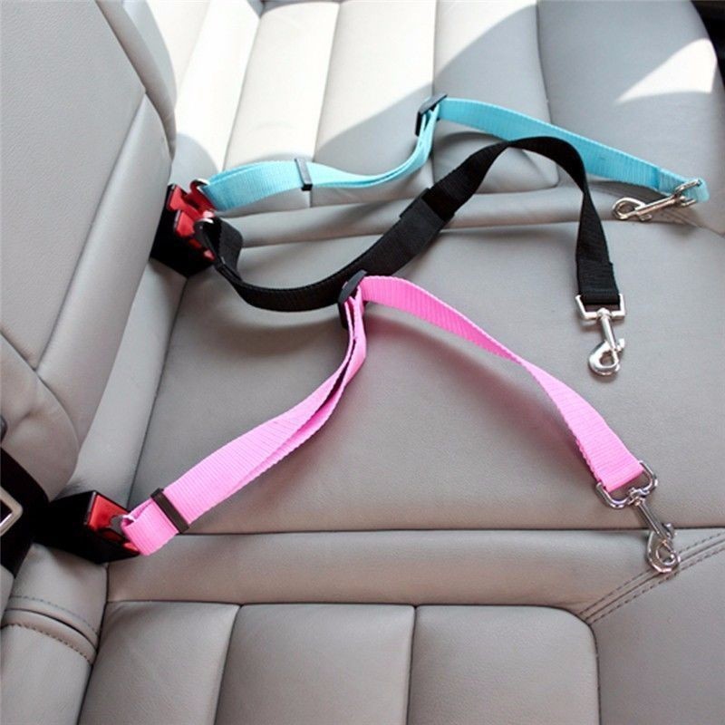 Travel Accessories Dog - 猫用カーシートベルト 犬用アクセサリー 調整可能ハーネス リード 小型犬 中型犬
