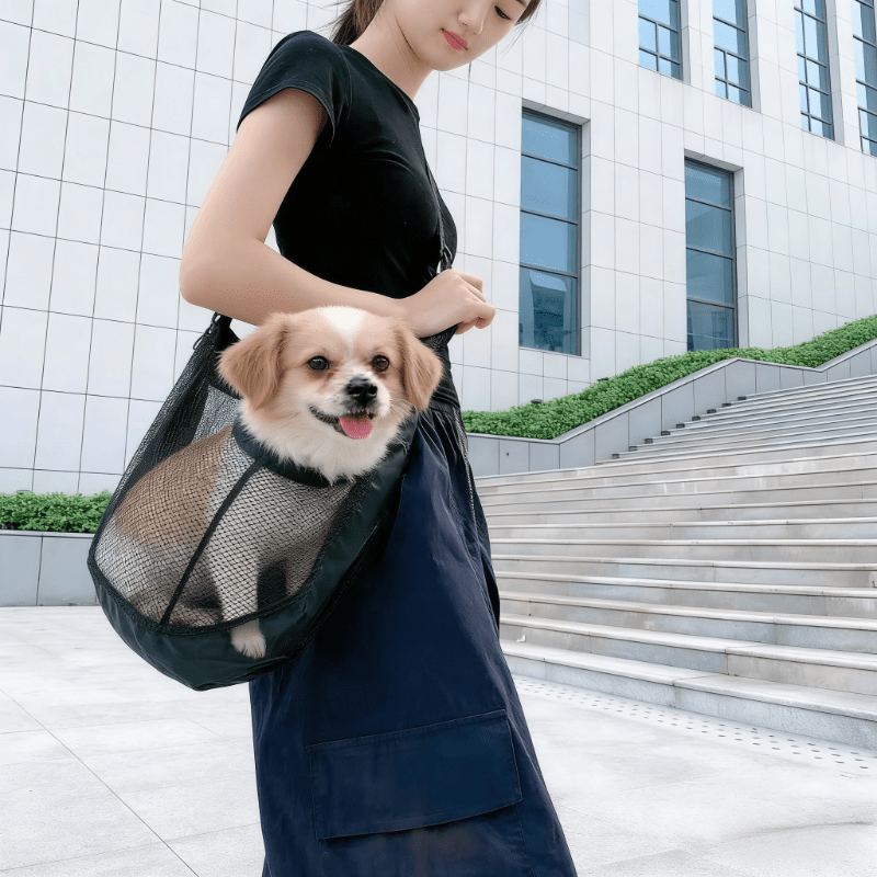 小型・中型ペット用軽量通気性メッシュドッグキャリア、獣医の診 - Travel Accessories Dog のレビューと価格