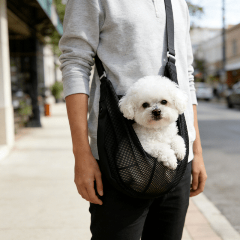 小型・中型ペット用軽量通気性メッシュドッグキャリア、獣医の診 - Travel Accessories Dog のレビューと価格