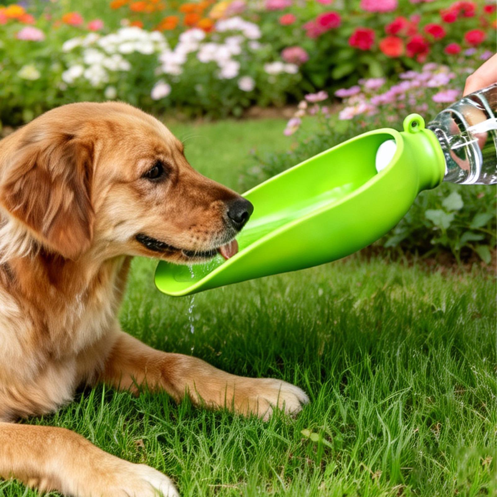 犬用携帯水飲みボウル シリコン製折りたたみ式 犬の散歩用アク - Travel Accessories Dog のレビューと価格
